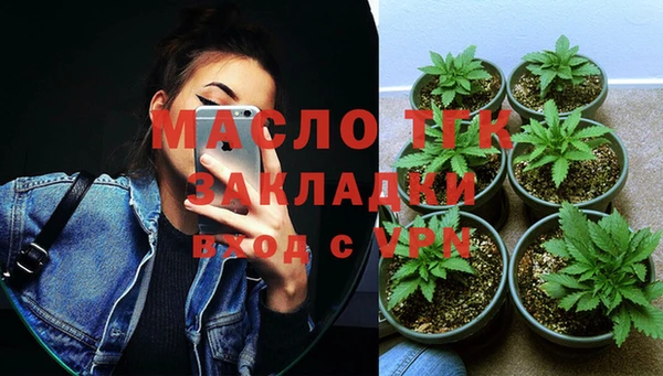 ГАЛЛЮЦИНОГЕННЫЕ ГРИБЫ Михайлов