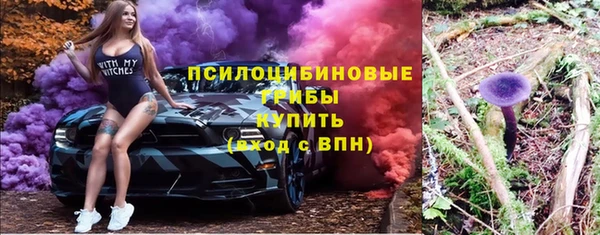 шишки Михайловка
