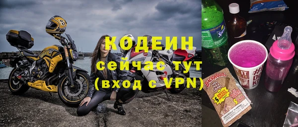ГАЛЛЮЦИНОГЕННЫЕ ГРИБЫ Михайлов