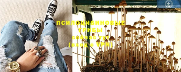 ПСИЛОЦИБИНОВЫЕ ГРИБЫ Михайловск