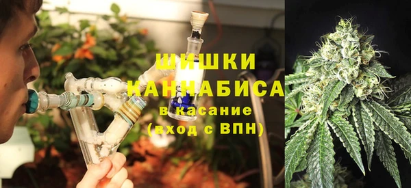 ГАЛЛЮЦИНОГЕННЫЕ ГРИБЫ Михайлов