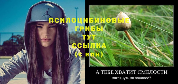 шишки Михайловка