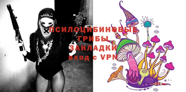 шишки Михайловка