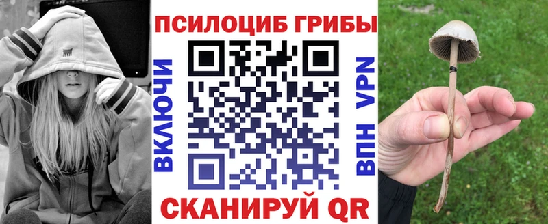 Купить где  Закаменск  Псилоцибиновые грибы мицелий 